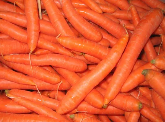 Carrots - Organic - 5 lbs BULK