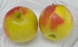 Apples - 5 lbs