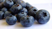 FROZEN - GOSS - High Bush Blueberries - Local - Conventional - SALE!