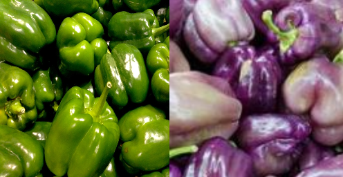 Bulk Bell Peppers - Organic - 10 lbs+-