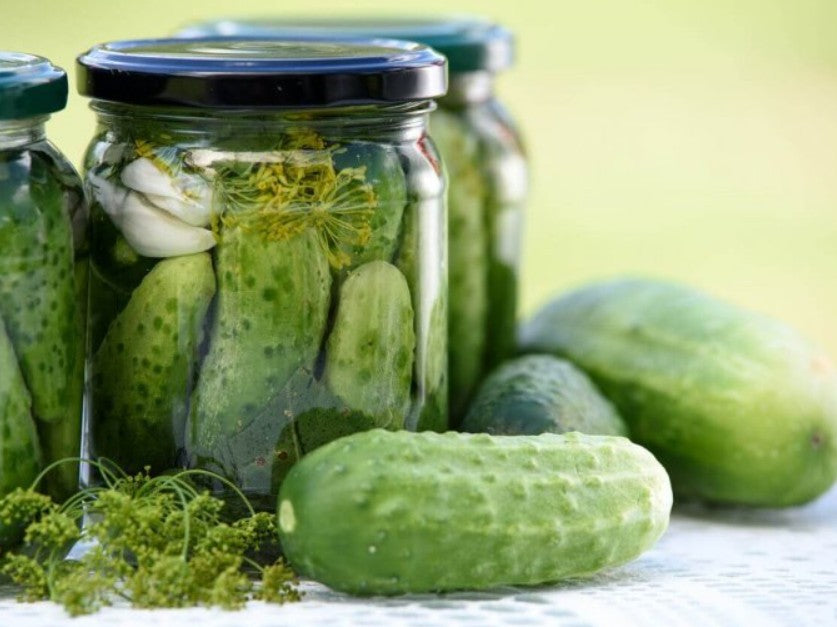 Cucumbers, Organic - Pickling - 10 lbs  - SEE PICKLE RECIPES IN DESCRIPTION!