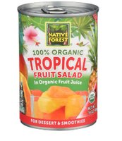 Tropical Fruit Salad - Organic - 14 oz