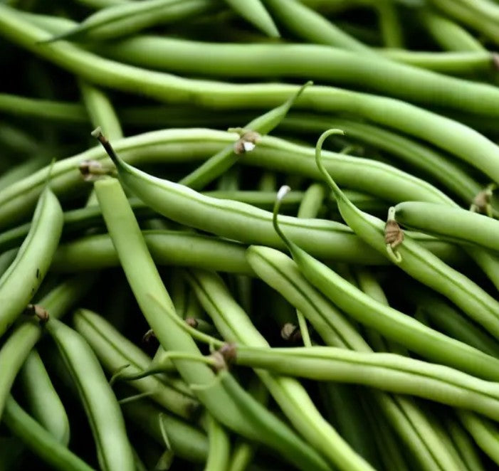 Green Beans - Organic - 5 lbs