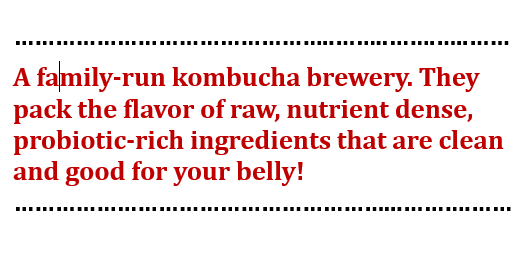 Kombucha - from Pigeon Cove Ferments -12 oz can - SALE!