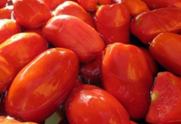 #2 Tomatoes, Organic - SECONDS - blemished, soft, etc - 10 LBS - BULK