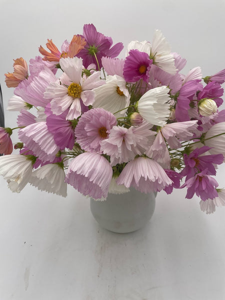 Local FLOWER Share*** - SUMMER 2024 - 4 Bi-Weekly deliveries - 7/8/24 - 8/22/24.  NOTE: Must be a 2024 Summer Farm Share or Fruit Share Customer to Order Flower Share***