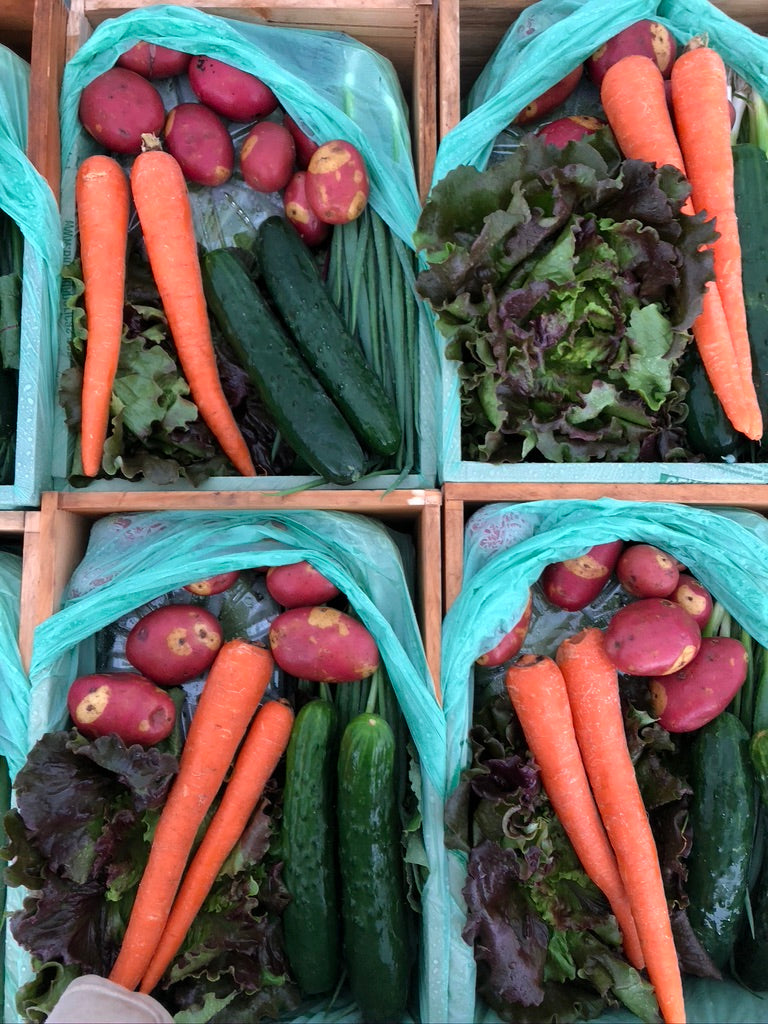 Fall Share 2026 - 8 Weeks - 8/31/26 - 10/23/26*