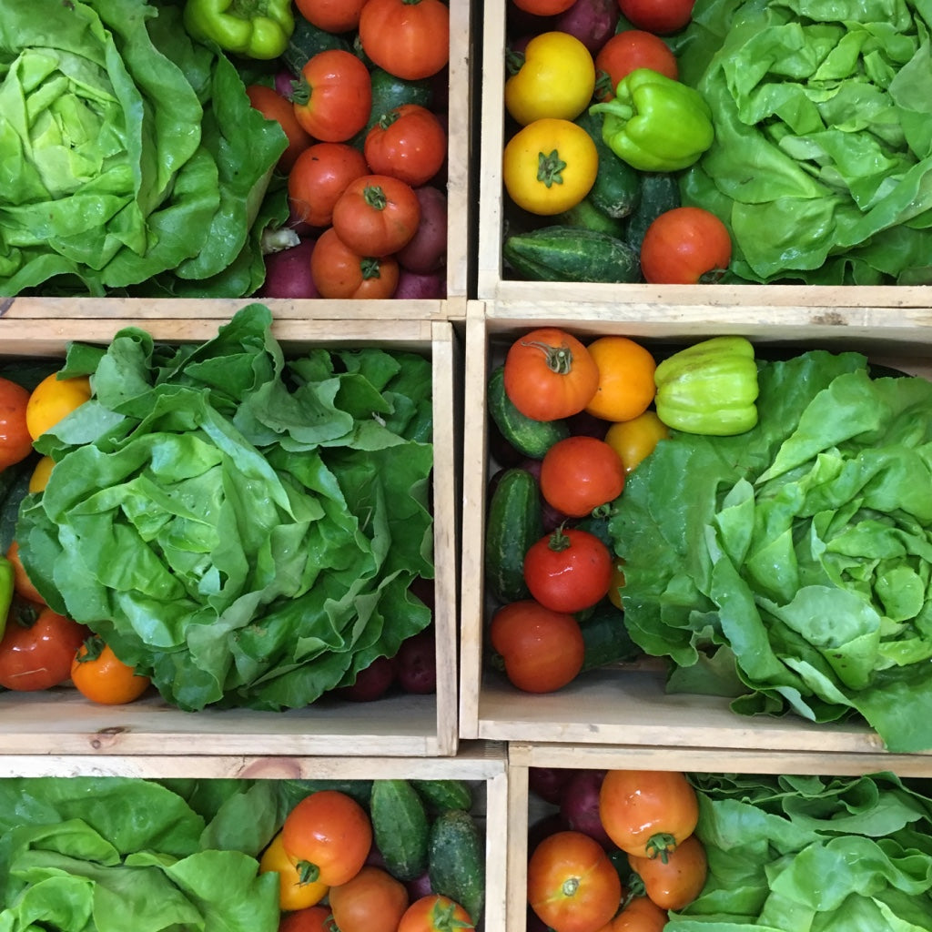 Winter Share 2026 - 8 Weeks - 10/26/26 - 12/18/26*