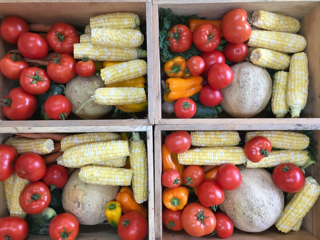 Summer Share 2026 - 9 Weeks - 6/29/26 - 8/28/26*