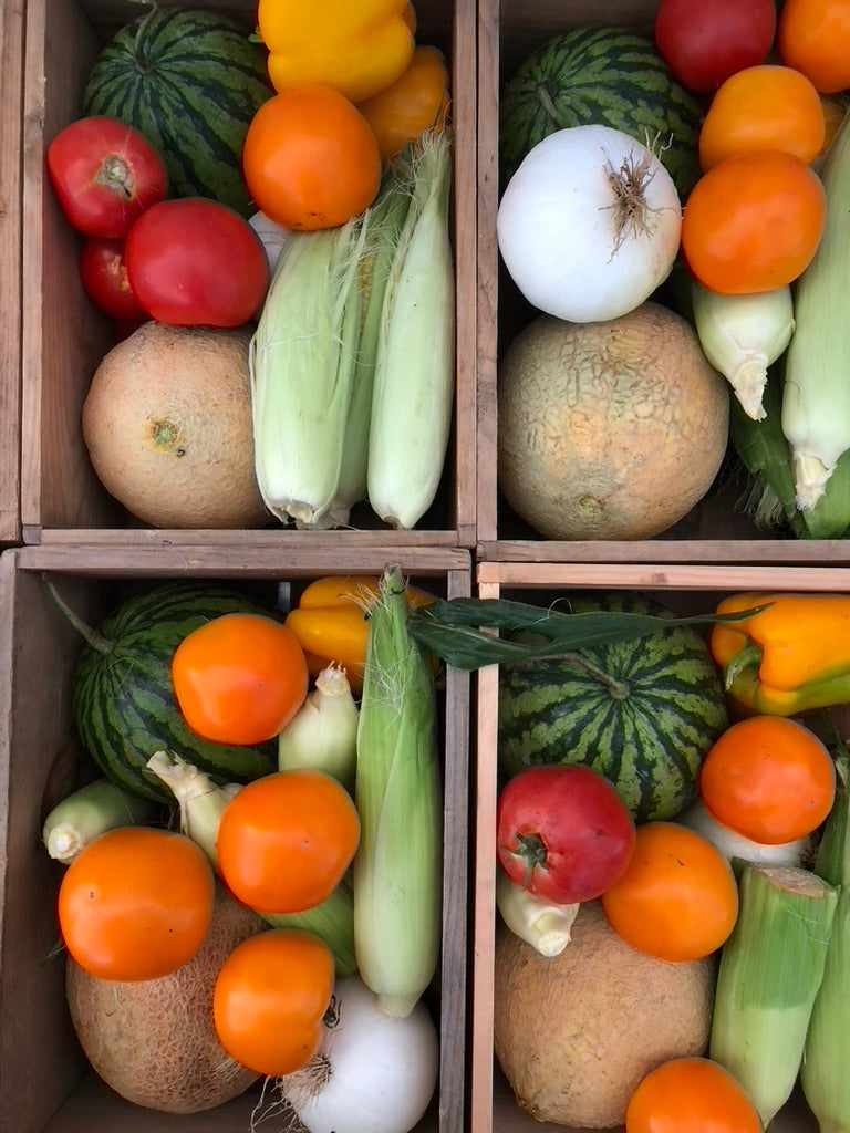 Fall Share 2026 - 8 Weeks - 8/31/26 - 10/23/26*