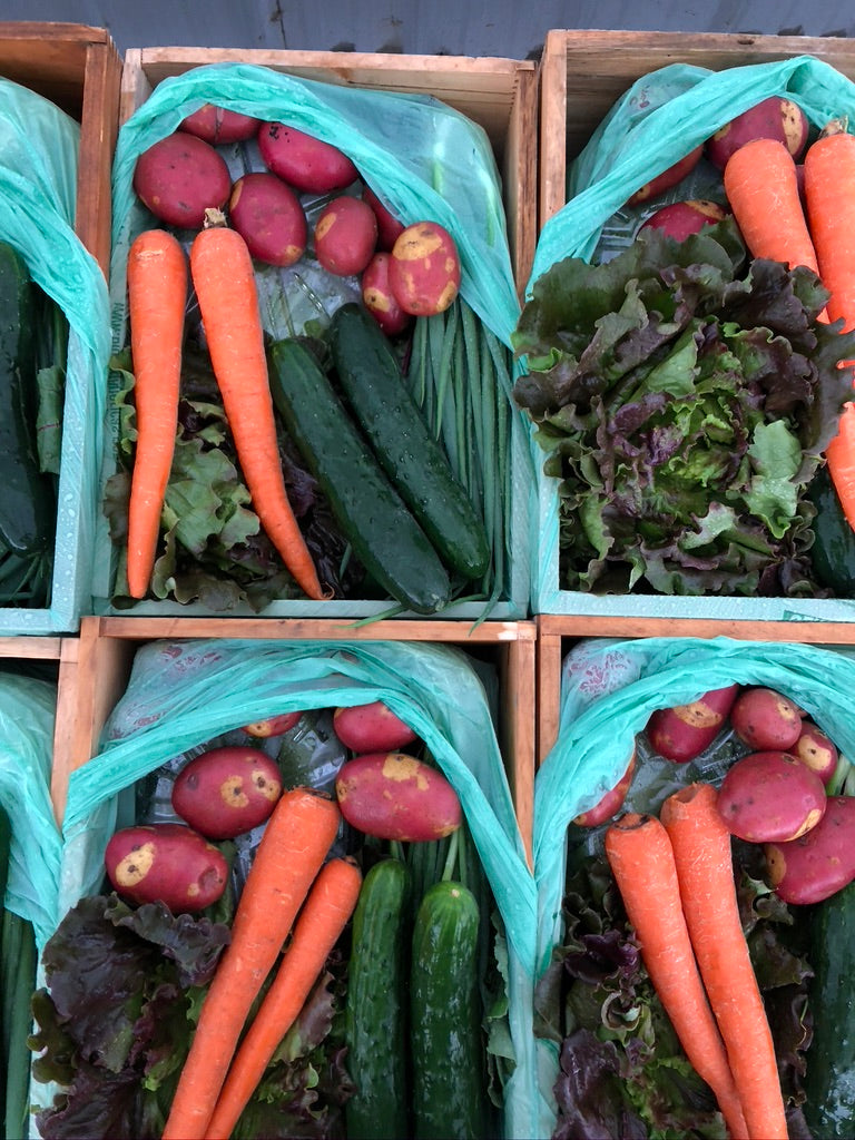 Winter Share 2026 - 8 Weeks - 10/26/26 - 12/18/26*