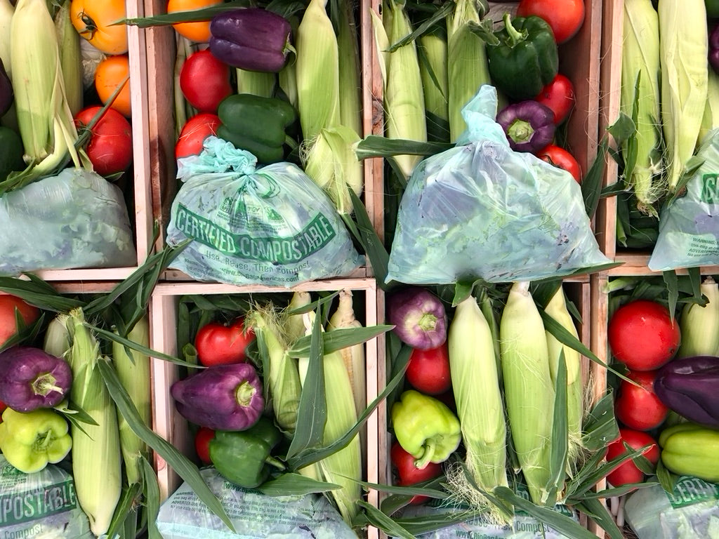 Summer Share 2026 - 9 Weeks - 6/29/26 - 8/28/26*