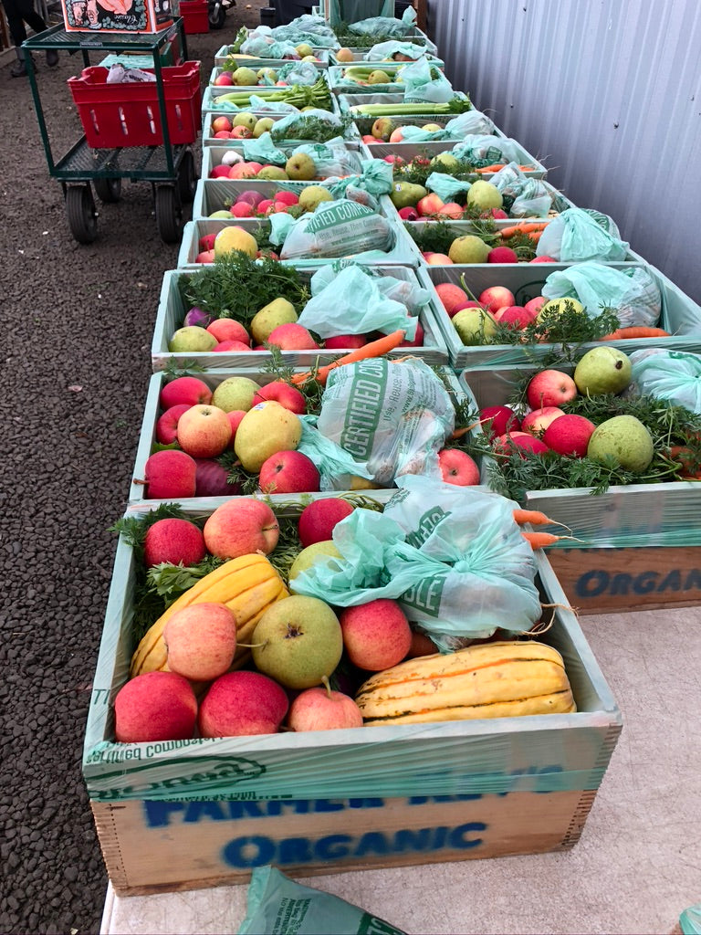 Fall Share 2026 - 8 Weeks - 8/31/26 - 10/23/26*