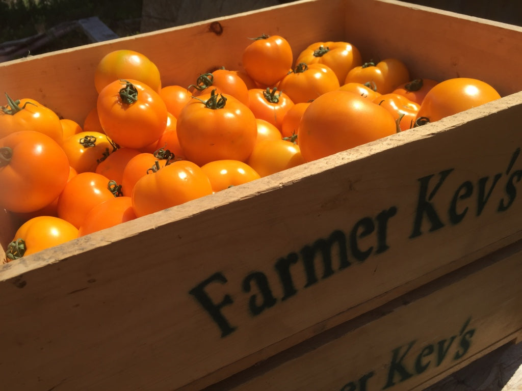 Summer Share 2026 - 9 Weeks - 6/29/26 - 8/28/26*