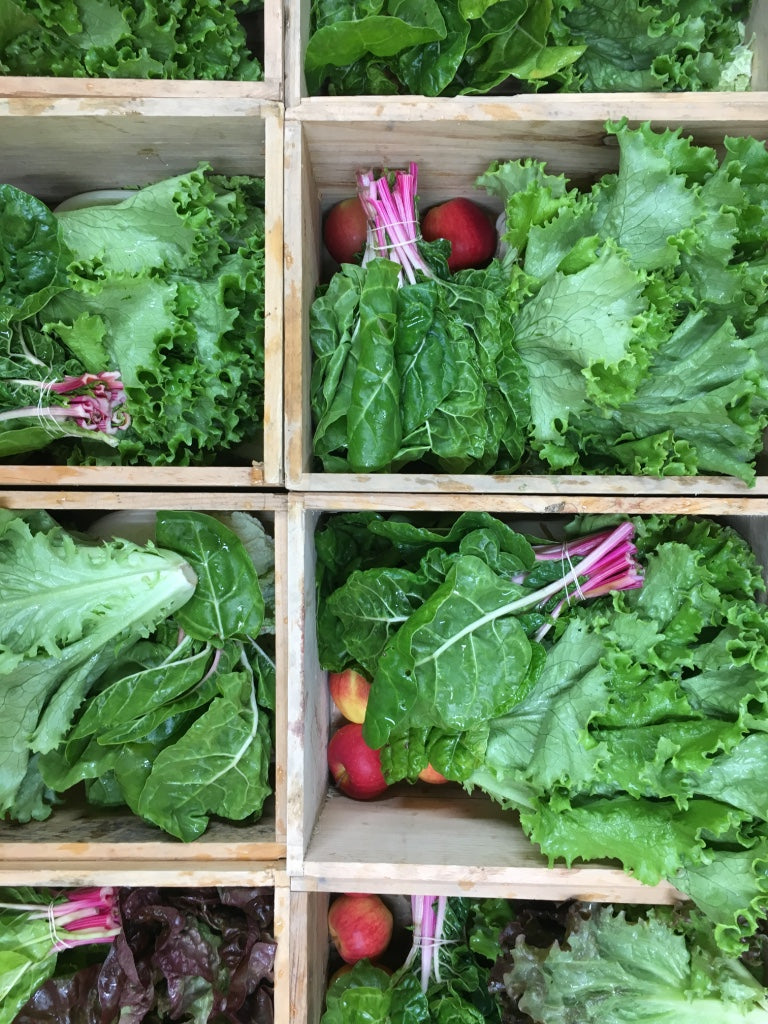 Fall Share 2026 - 8 Weeks - 8/31/26 - 10/23/26*