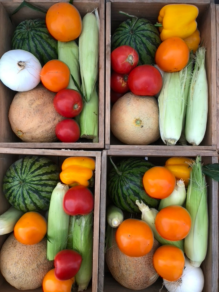 Summer Share 2026 - 9 Weeks - 6/29/26 - 8/28/26*