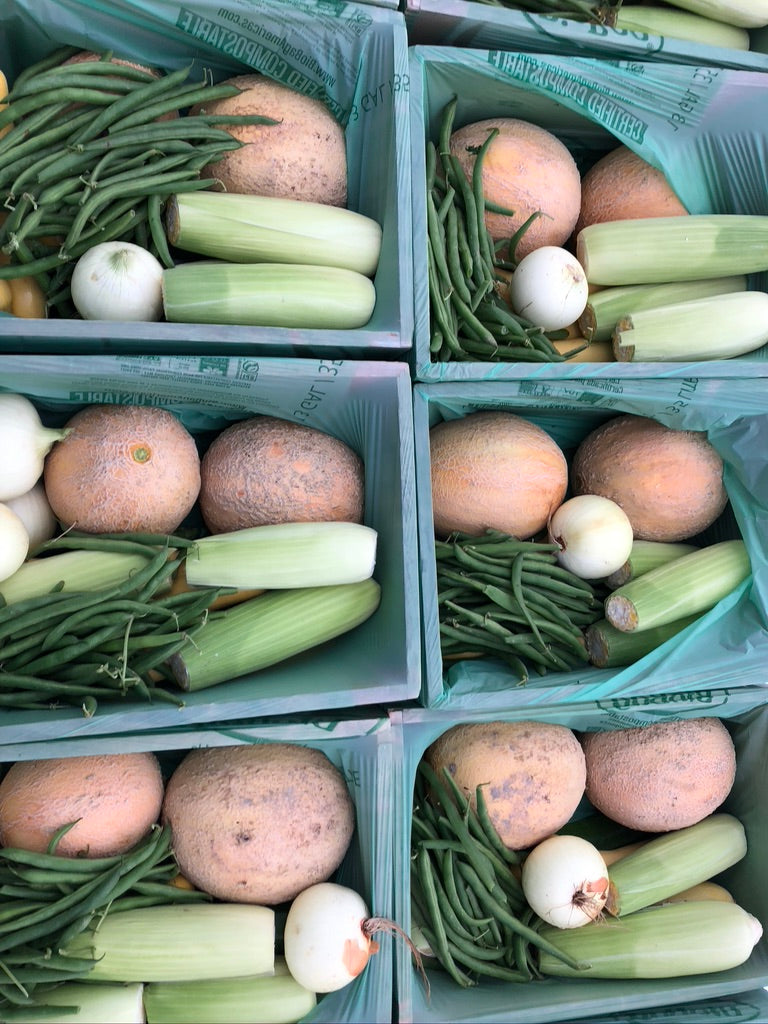 Fall Share 2026 - 8 Weeks - 8/31/26 - 10/23/26*