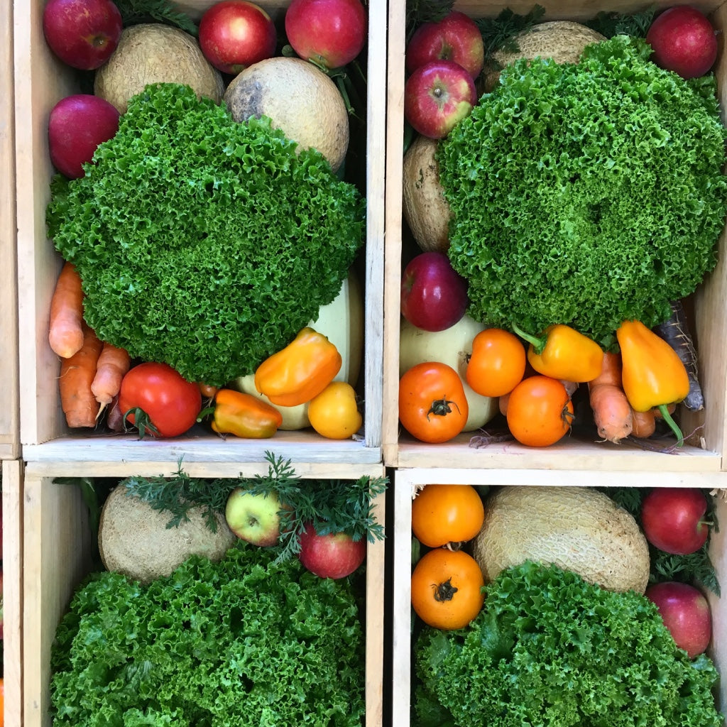 Winter Share 2026 - 8 Weeks - 10/26/26 - 12/18/26*