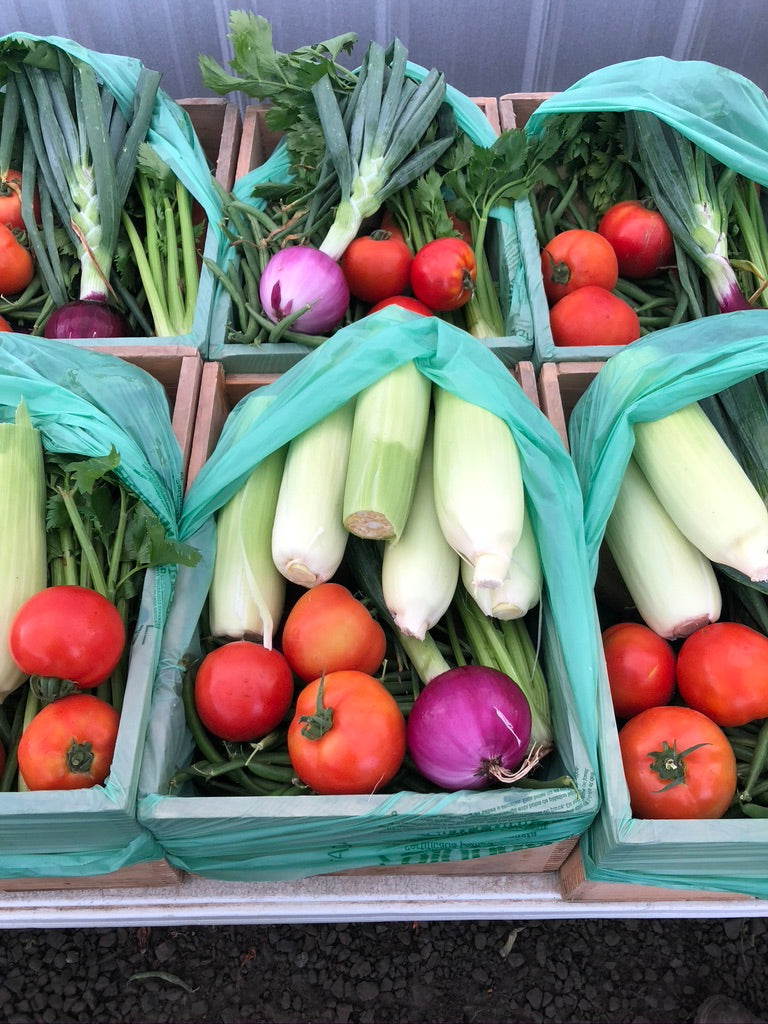 Summer Share 2026 - 9 Weeks - 6/29/26 - 8/28/26*