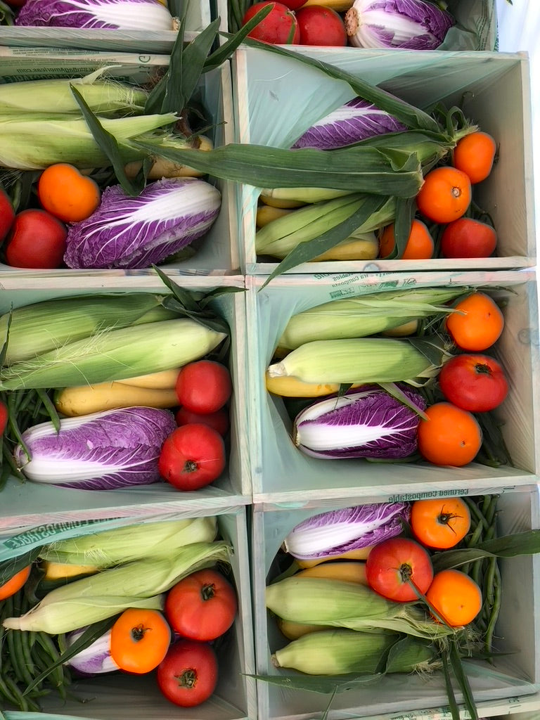 Summer Share 2026 - 9 Weeks - 6/29/26 - 8/28/26*