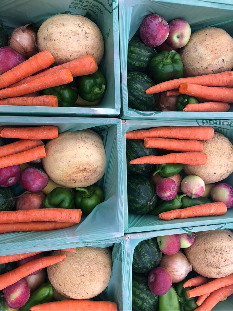 Summer Share 2026 - 9 Weeks - 6/29/26 - 8/28/26*