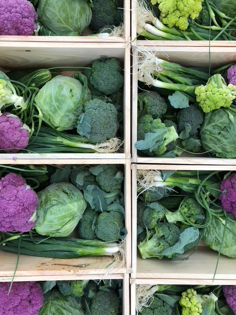 Fall Share 2026 - 8 Weeks - 8/31/26 - 10/23/26*