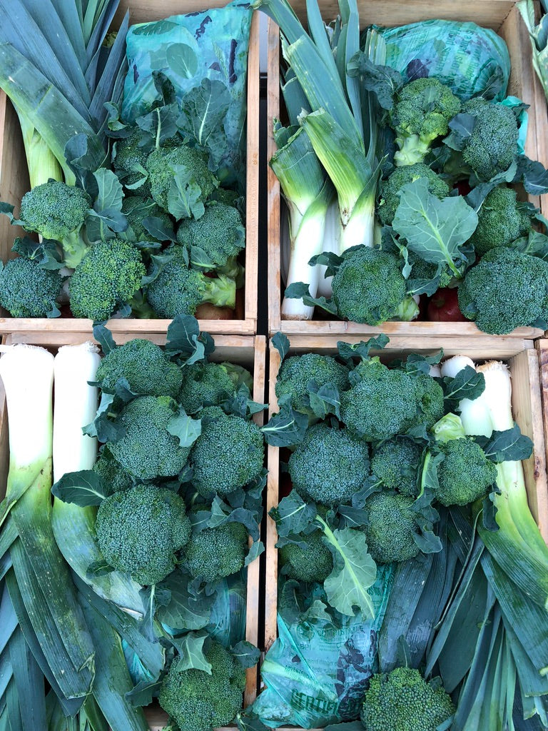 Winter Share 2026 - 8 Weeks - 10/26/26 - 12/18/26*