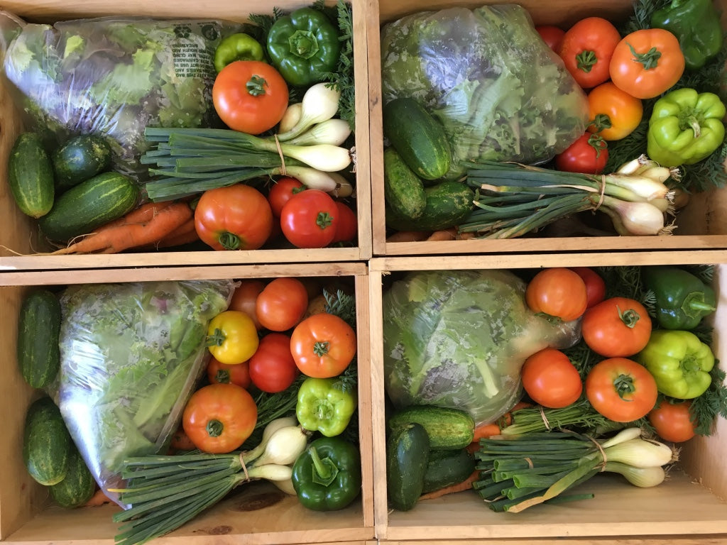 Summer Share 2026 - 9 Weeks - 6/29/26 - 8/28/26*