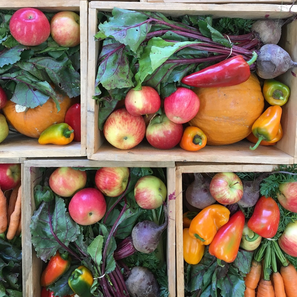 Fall Share 2026 - 8 Weeks - 8/31/26 - 10/23/26*