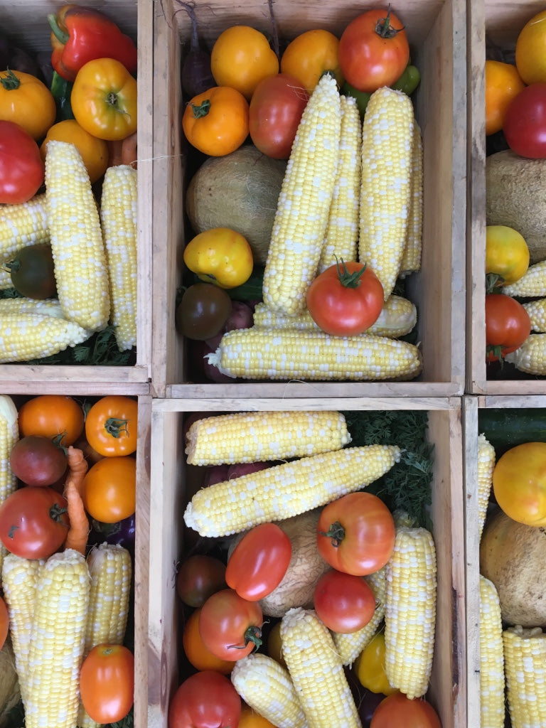 Fall Share 2026 - 8 Weeks - 8/31/26 - 10/23/26*