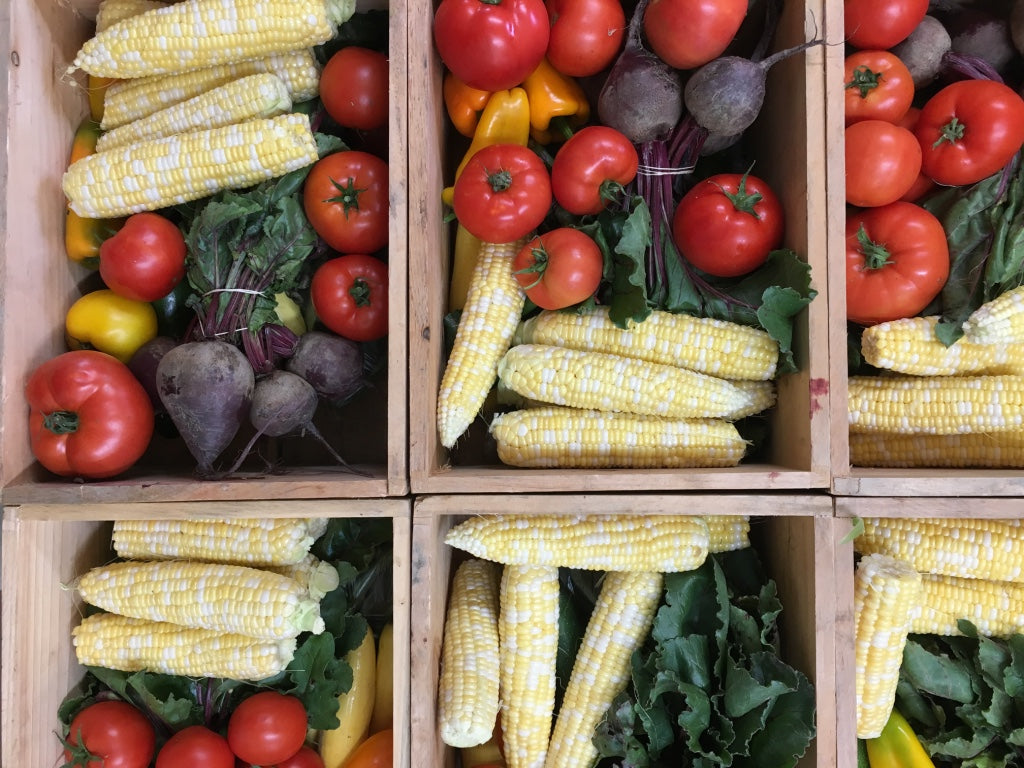 Summer Share 2026 - 9 Weeks - 6/29/26 - 8/28/26*