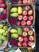 Select FRUIT Share - SPRING 2024 -  9 Weeks - 4/29/24 to 6/28/24*