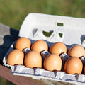 Eggs - Brown, Free Range, nonGMO - 1 Doz