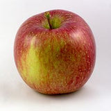 Apples - 5 lbs