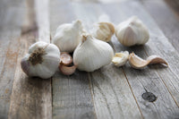 Garlic - Organic - 1 lb