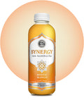GTs Kombucha - Mystic Mango - 16 oz