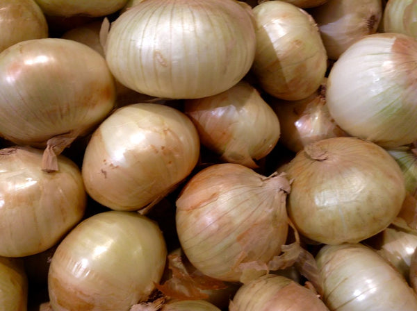 Onions, Organic - 5 lbs